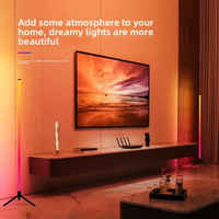 Helix RGB LED Corner Floor Lamp